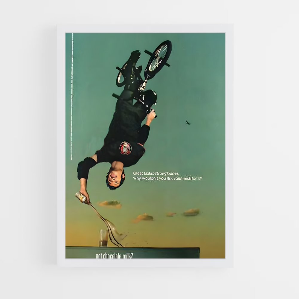 Poster Mat Hoffman's Thrills – affiche BMX (vue 3)